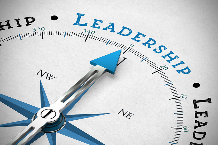 Quantum Logik Consulting Leadership Development